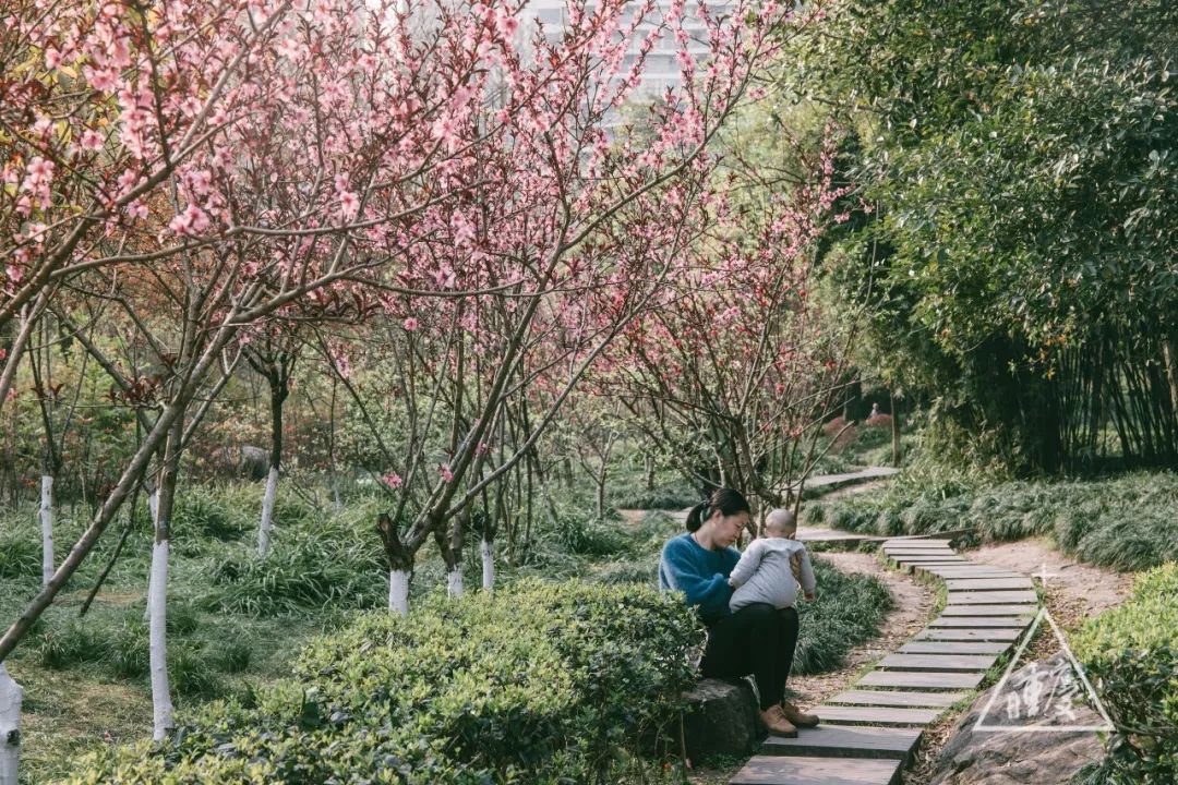 还有小孩子在桃花树下和妈妈一起玩耍,发出咯咯咯的笑声, 萌惨了.