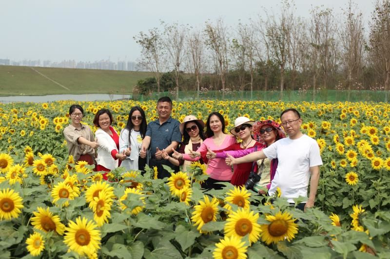 协会动态丨惠州市旅游协会前往仙眷花洲花海公园采风