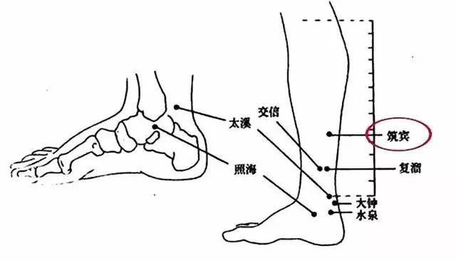 痰的原理是什么_肺癌的血痰是什么颜色(3)