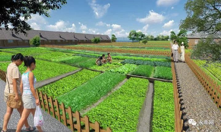 【新潮】绿健生态农场邀你来当"私家菜园的城市农夫"