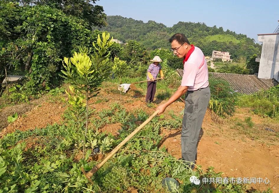 阳春市八甲各村人口总汇_阳春市永宁镇林湾村