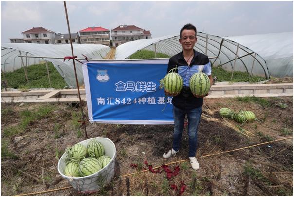 菜農才是真「滅盡」，偷菜不成反被抓，這下，高山蔬菜不火都難！ 科技 第4張