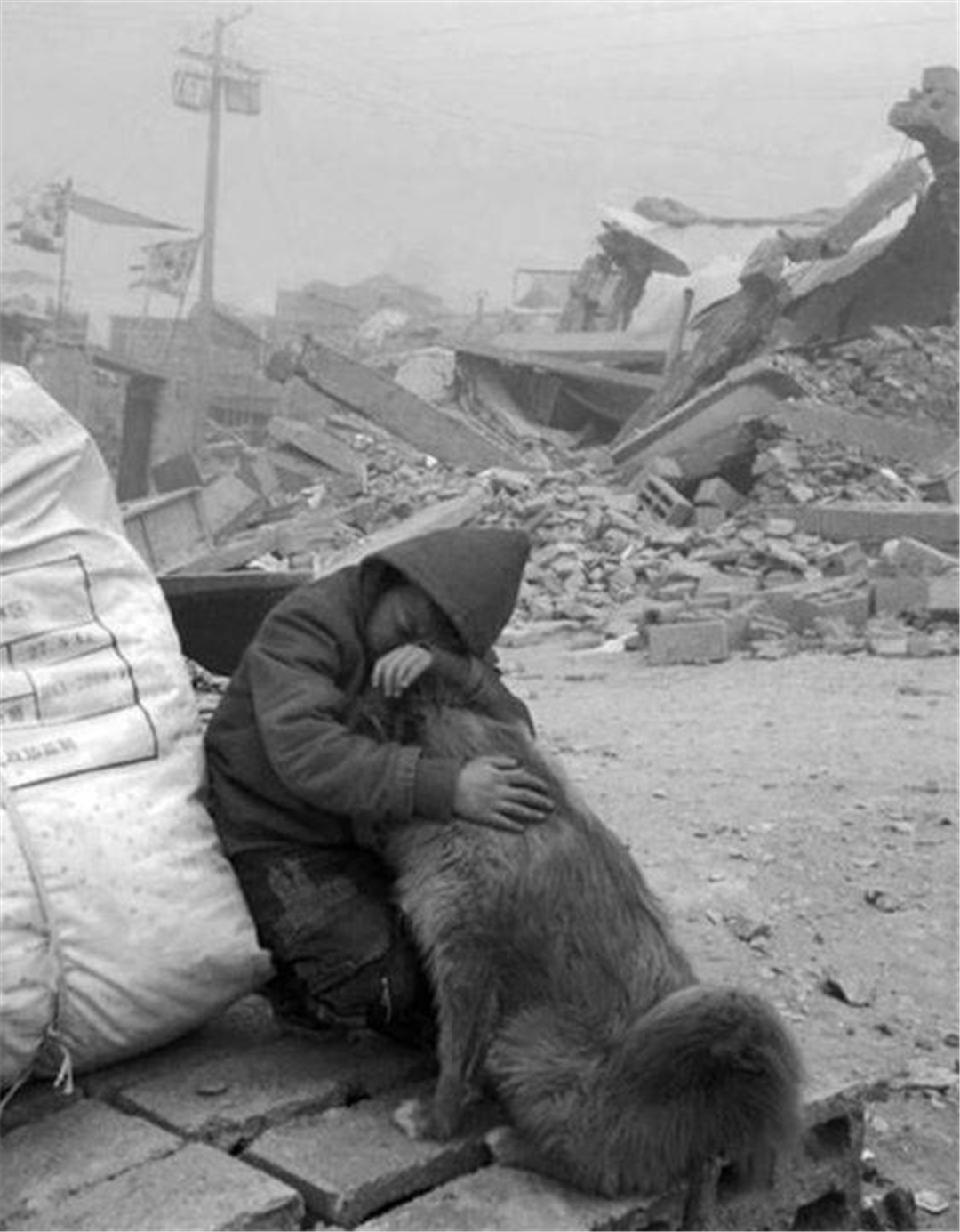 1/ 12 感人的二战老照片:残酷的战争即将打响,小男孩挣脱母亲的双手