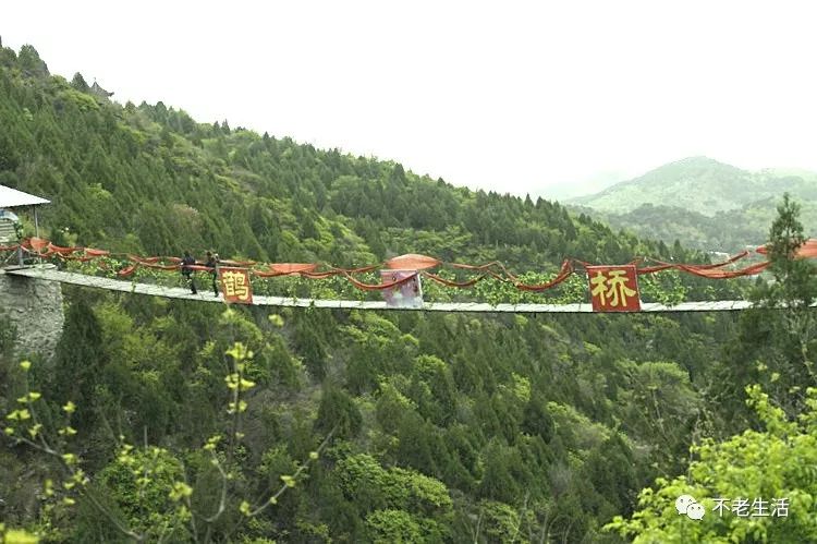 怀柔圣泉山风景区赏花一日游