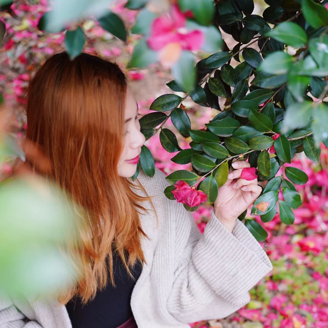 阳春三月,知音故里花正开,武汉蔡甸最齐赏花攻略-油菜