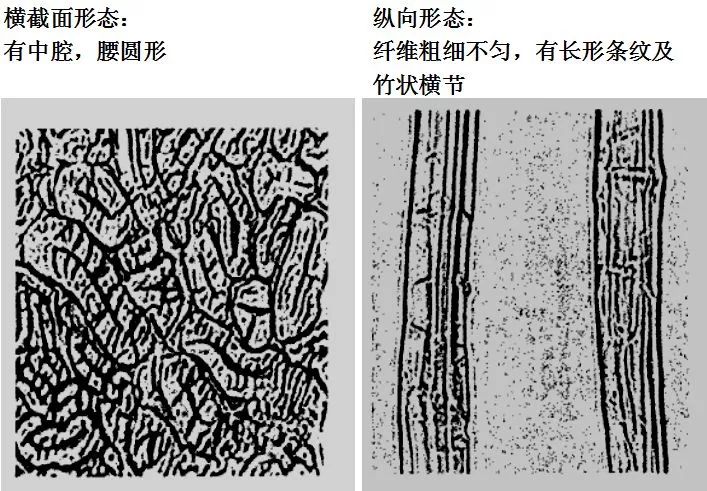 干货 常见纺织纤维的形态分享