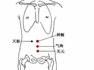 春季补肾穴位1:气海穴