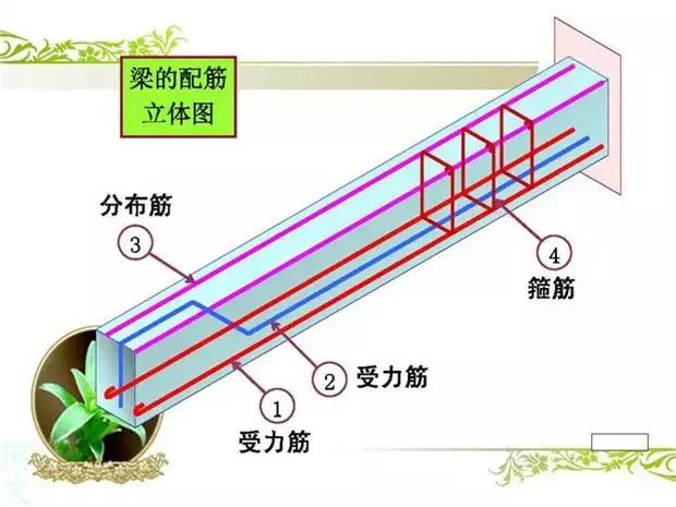 钢筋图怎么看