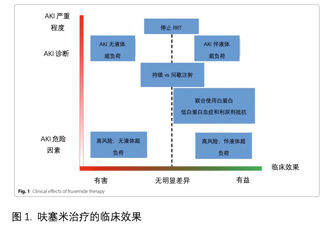 关于呋塞米的十个谬见