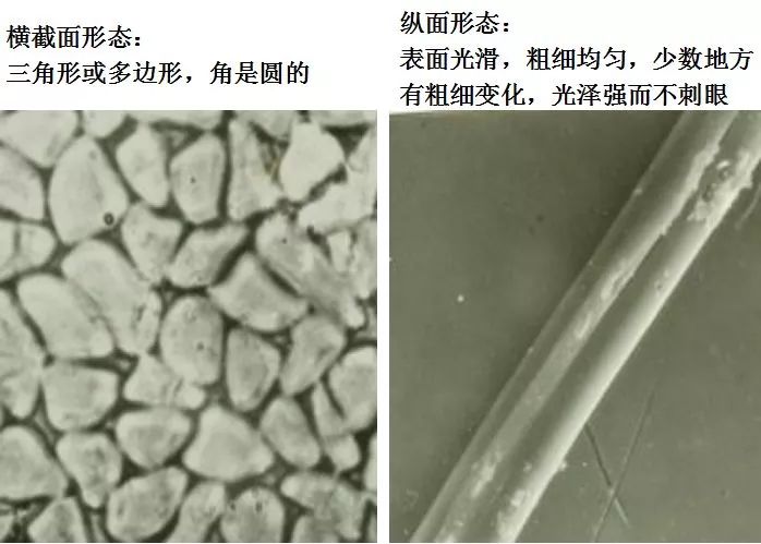 干货| 常见纺织纤维的形态分享