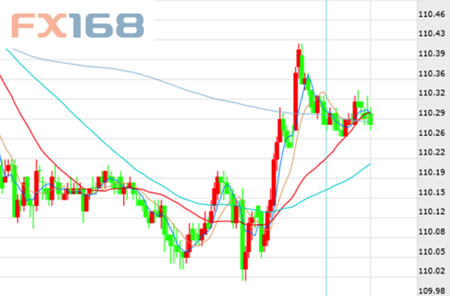 兔子gdp(3)