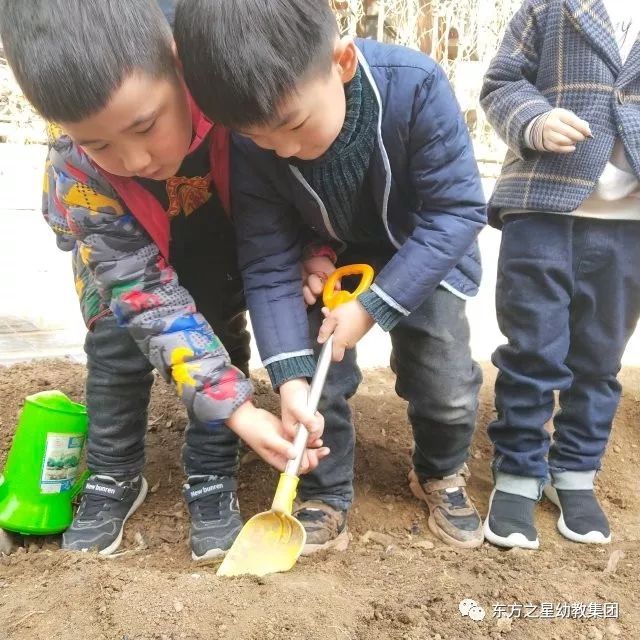 我们一起来种植 | 记东方之星新城区幼儿园植树节主题