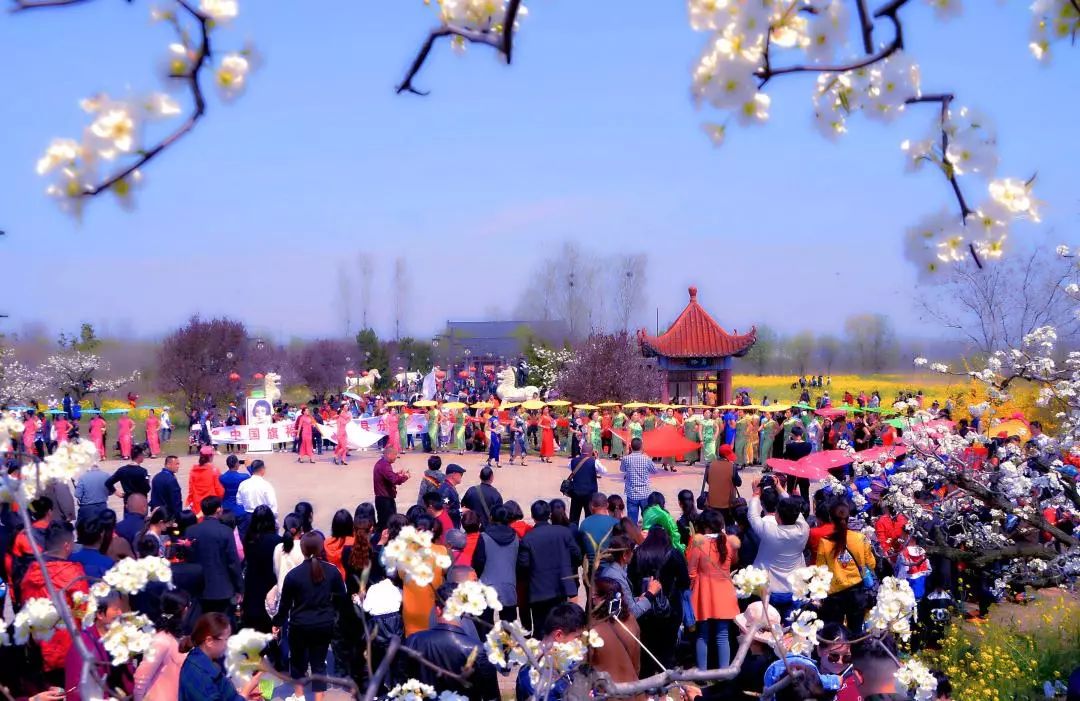 进来看直播丰县第20届梨花节今天开幕坐直升机看花海梨园快闪丰县要火