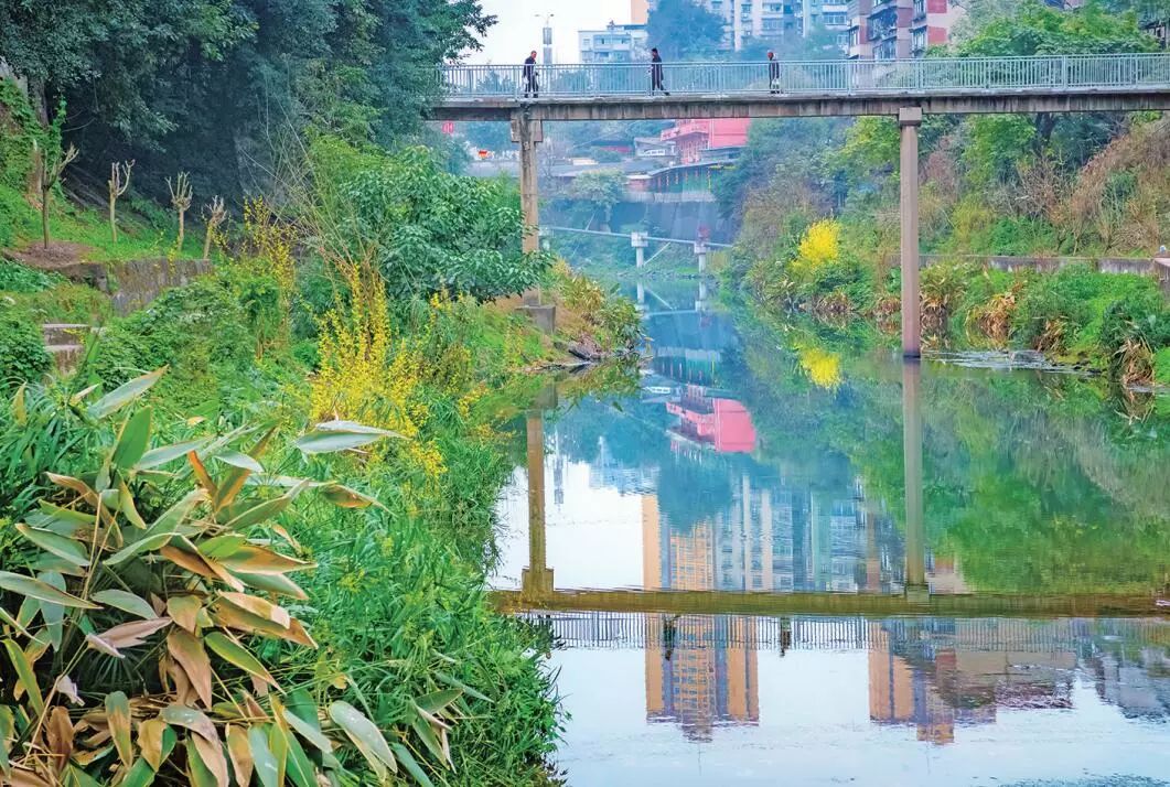 綦河城区段散排污水治理见成效,散排污水全截流,龙角桥下河水清_大石