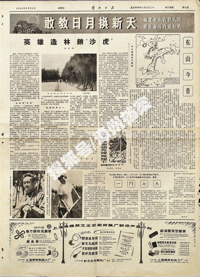 55年前报纸披露东山岛造林焕新颜