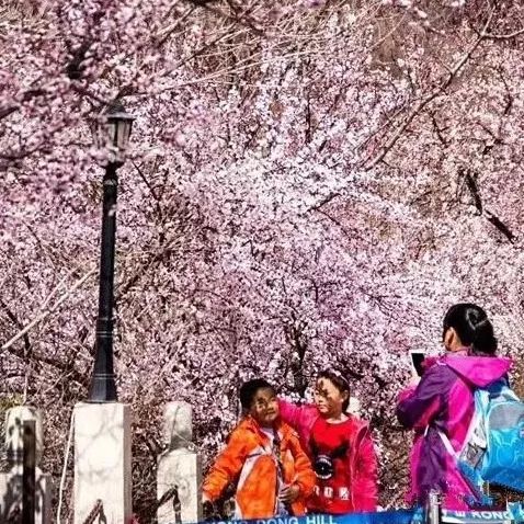 平凉市崆峒区人口数_平凉市崆峒区图片