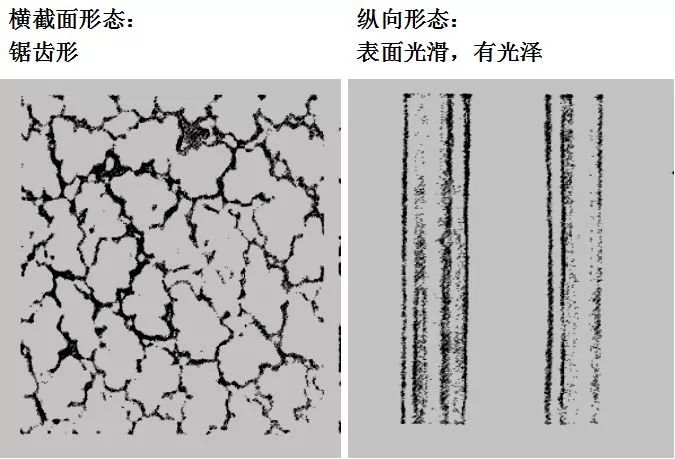 干货 常见纺织纤维的形态分享