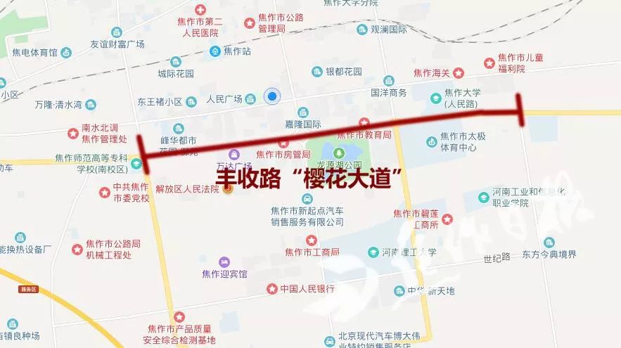 记者从市园林局获悉, 我市文汇路,丰收路将打造成"樱花大道",中原路将