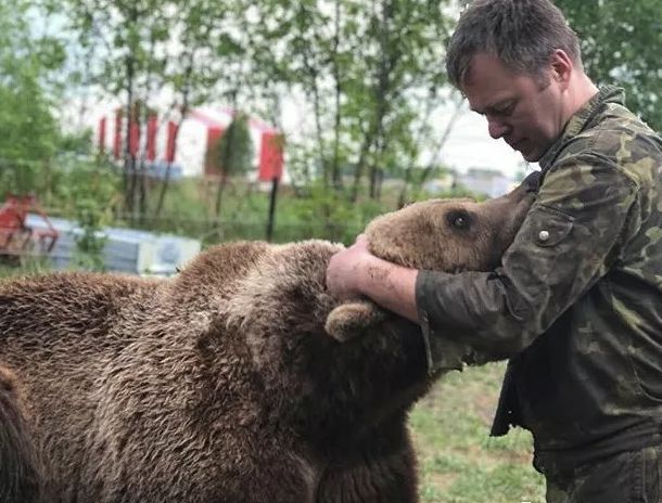 趣闻丨从小养大的熊宝宝被人骗走,这群俄罗斯飞行员忍