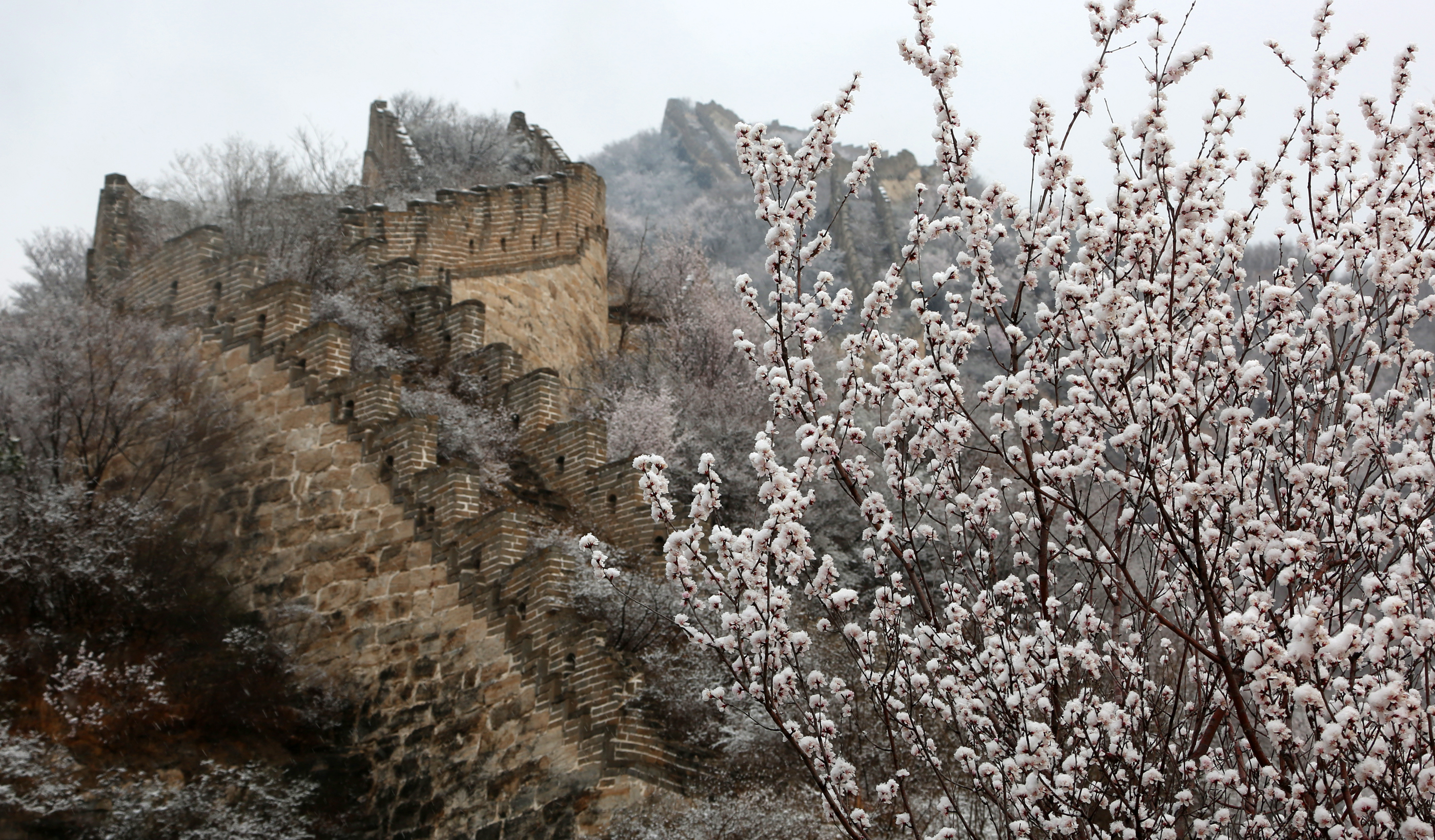 春雪落长城