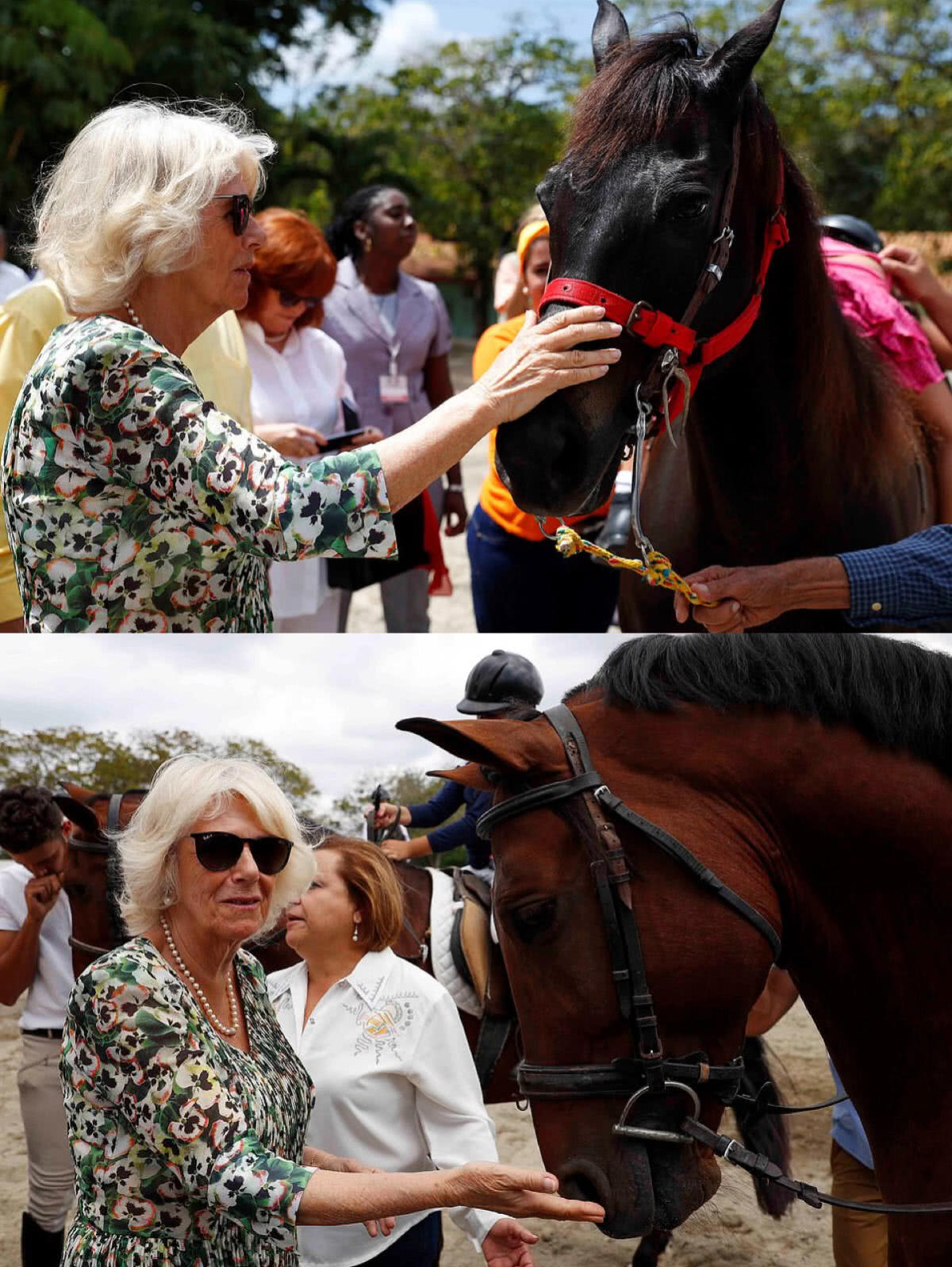 原創
            71歲卡米拉訪問古巴最後一天美得高調！穿花卉裙氣質如蘭還減齡 時尚 第5張