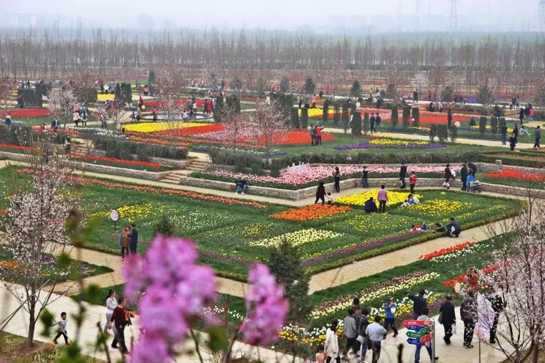 2019第三届沂蒙花朝节3月30日在沂水花彩小镇盛装启幕