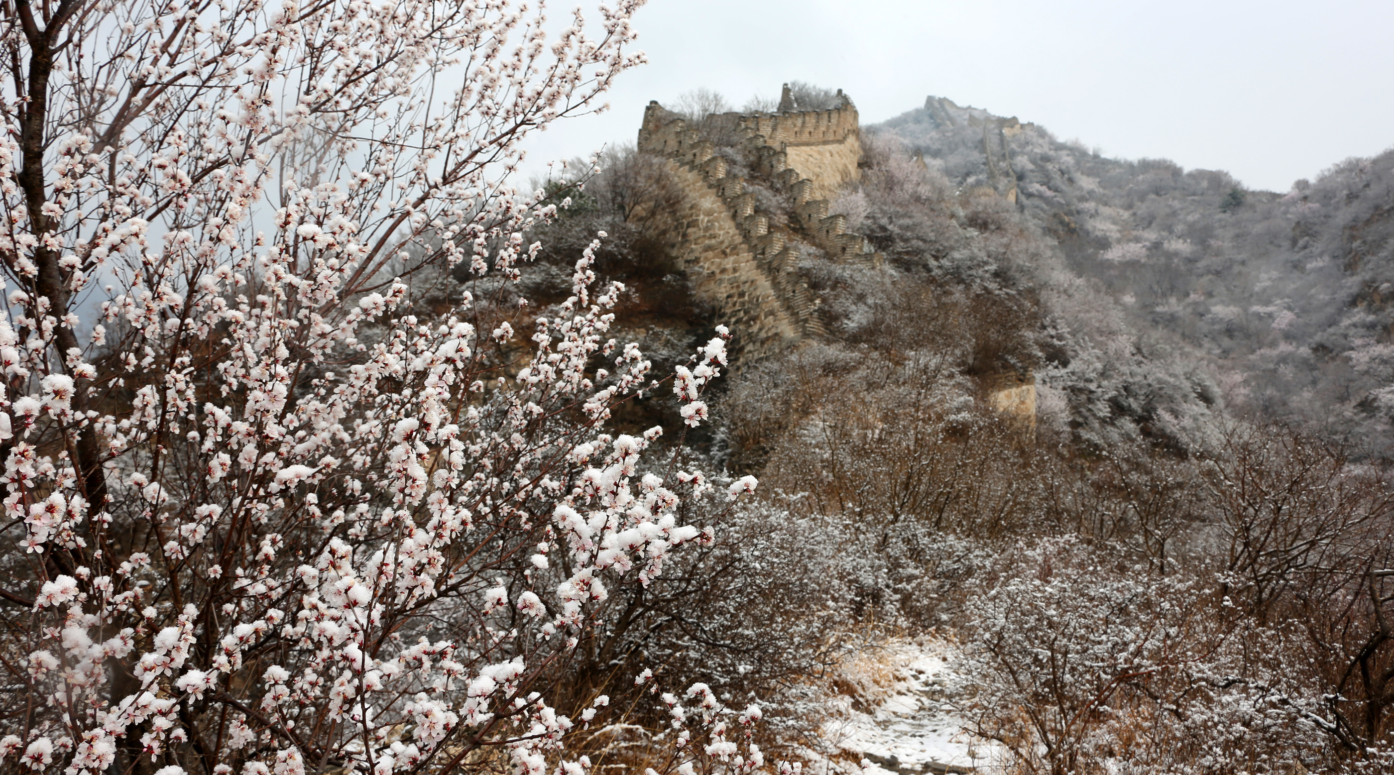 春雪落长城