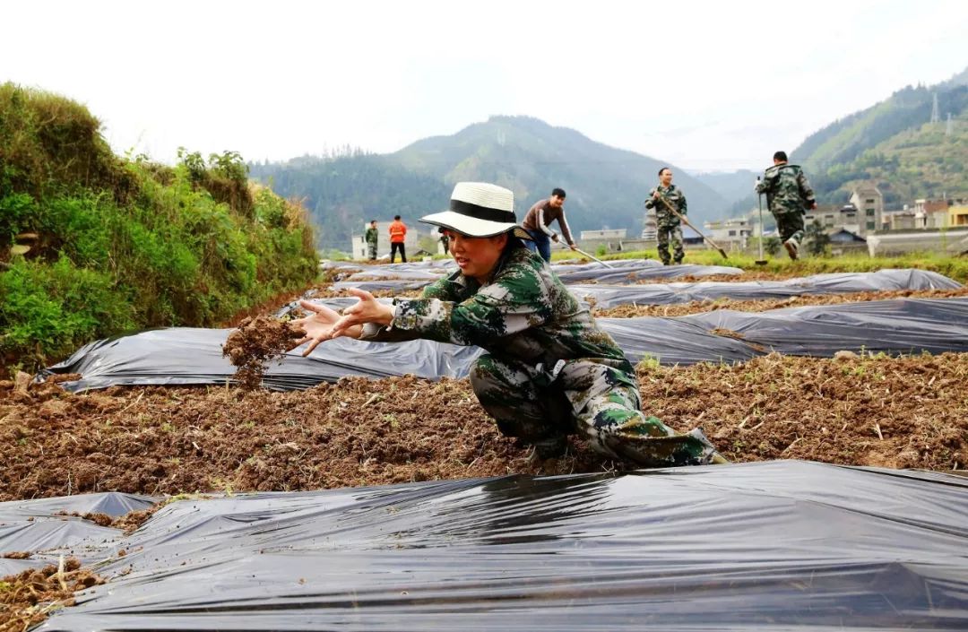 贵州省榕江忠诚镇有多少人口_榕江栽麻镇高硐村