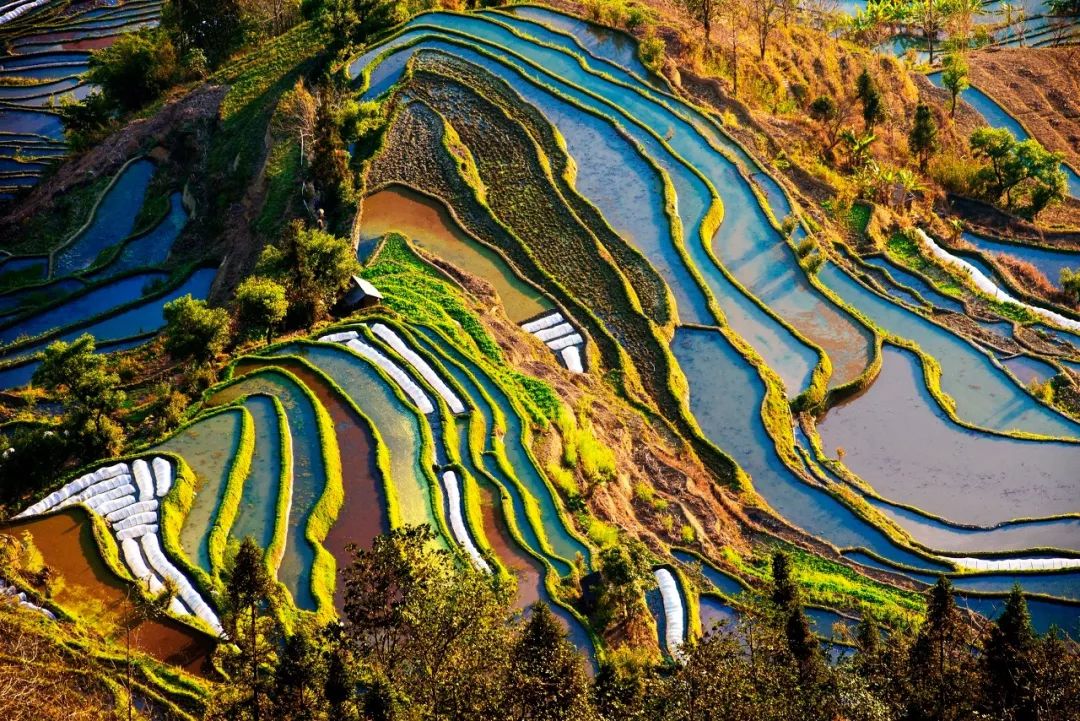 一座黑山一条河是什么成语_黑山鱼是什么鱼