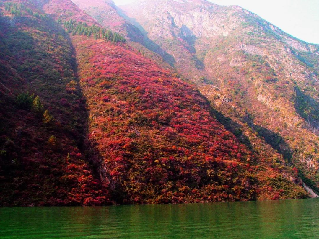 巫山县城人口_重庆发布 高冷地图 ,巫山8地上榜 快看到底是如何的 高冷