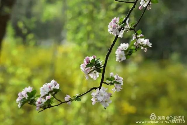 清晨闻鸡舞,暮夜看星空,登高楼揽日月星辰,履平川踏湖海山河;喜时一声