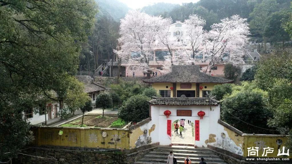 玩转庐山:和落星墩户外一起游方竹寺,看樱花.