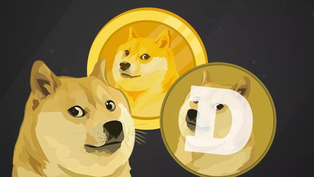 Forget Shiba Inu and Dogecoin, These Cryptocurrencies Are Already Making Great Gains