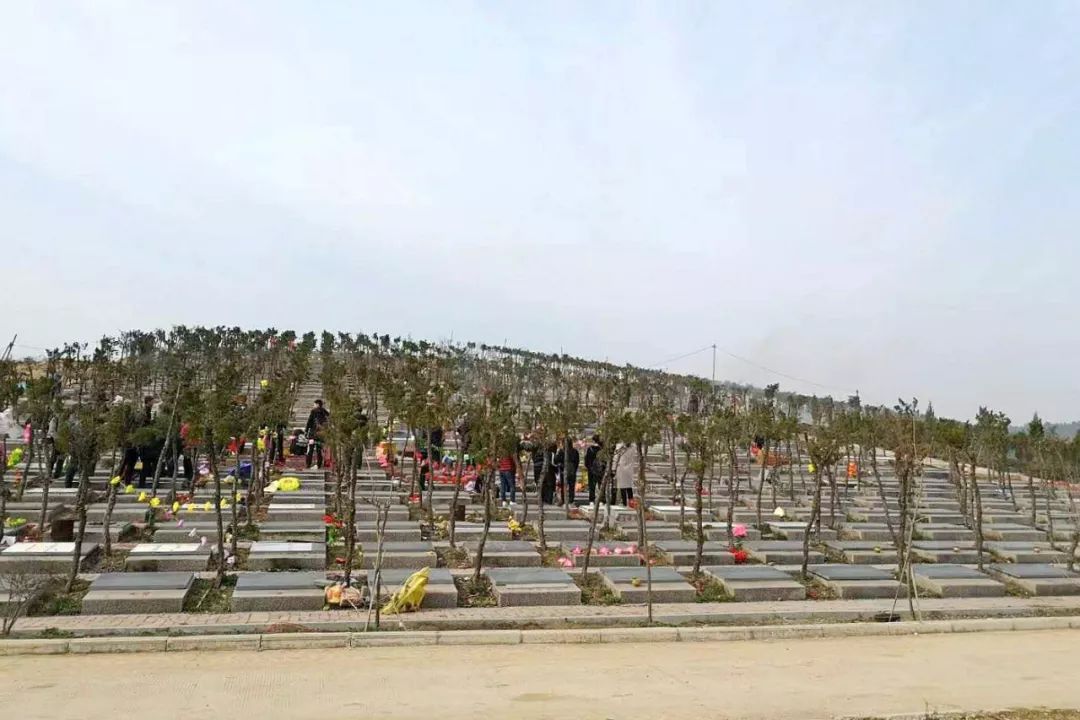 凤阳公交总站(起点)→涂山路→凤翔大道→华环国际→福寿山公墓的公交