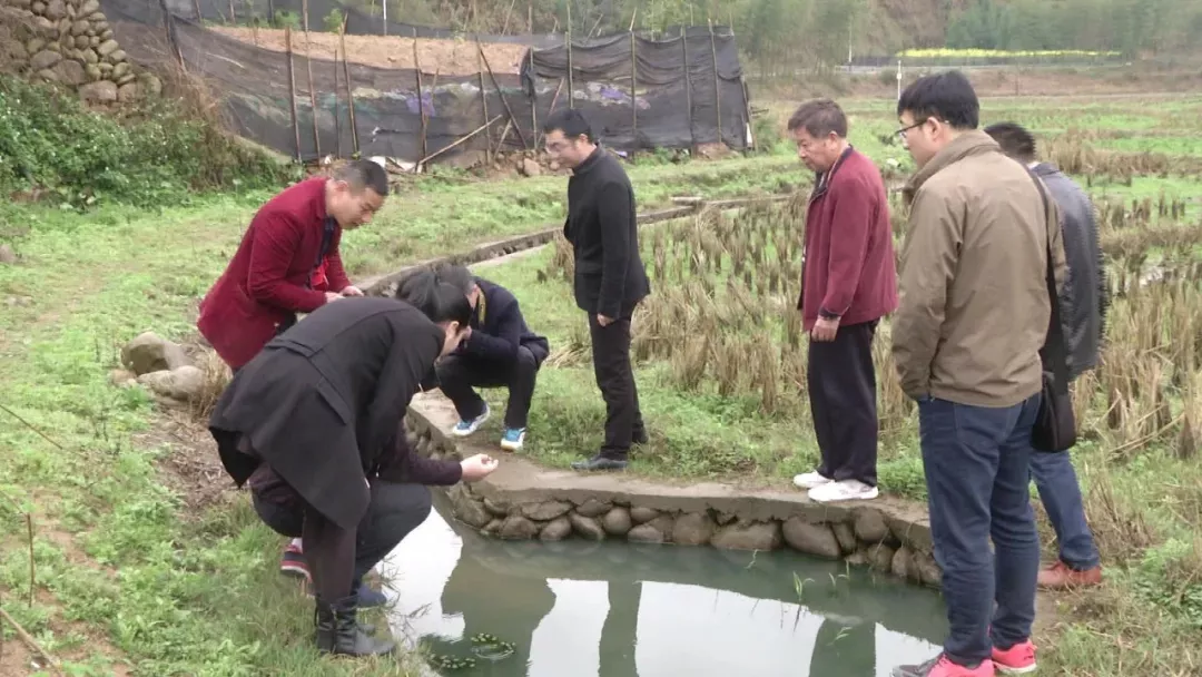 近日,科技特派专家团一行来到光泽县崇仁乡洋塘村,光泽县农业检测中心