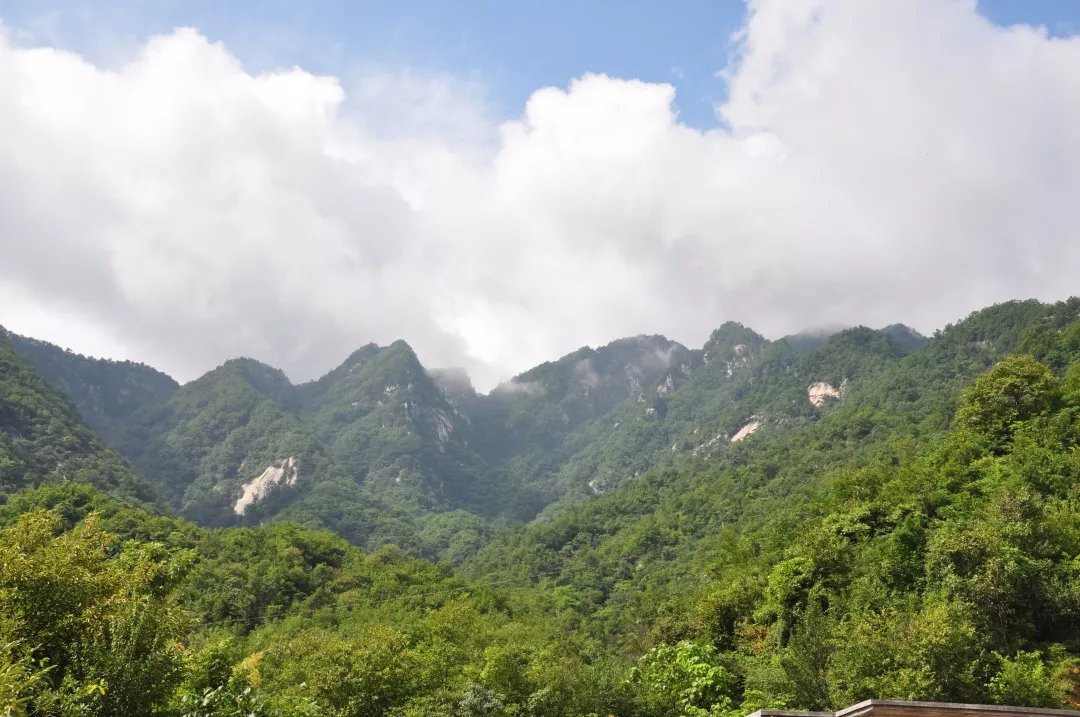 南召大宝天曼这山这水随春天一同醒来