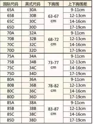 内衣36c的码应该是多少