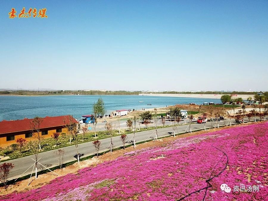 春暖花开,汤河盛景,汤河国家湿地公园欢迎您!_汤阴