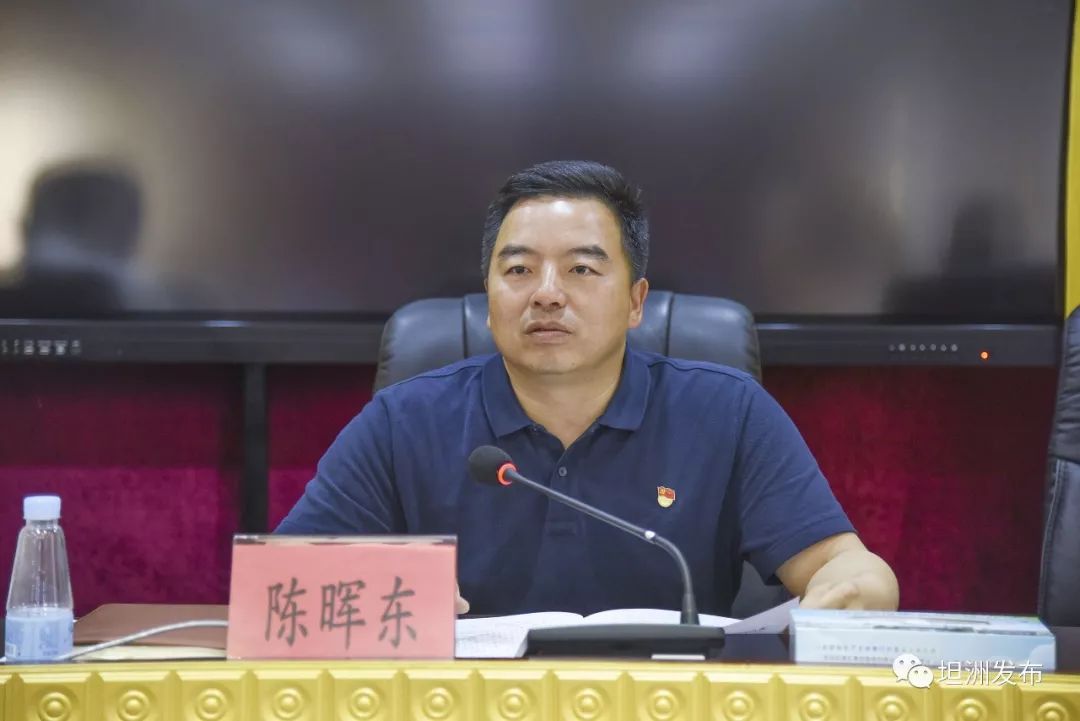 镇党委副书记,镇长陈晖东强调,代表议案建议办理工作是一项政治性