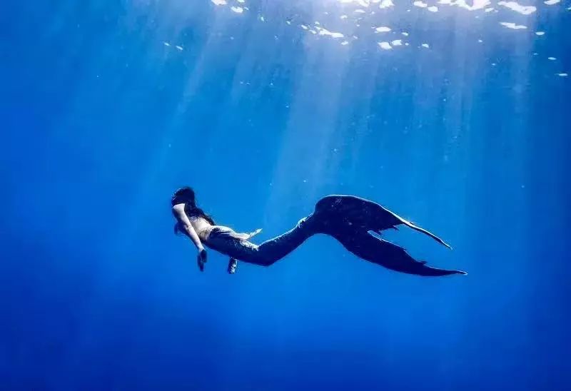 这个世界上最酷的职业发现了第二世界的美._潜水