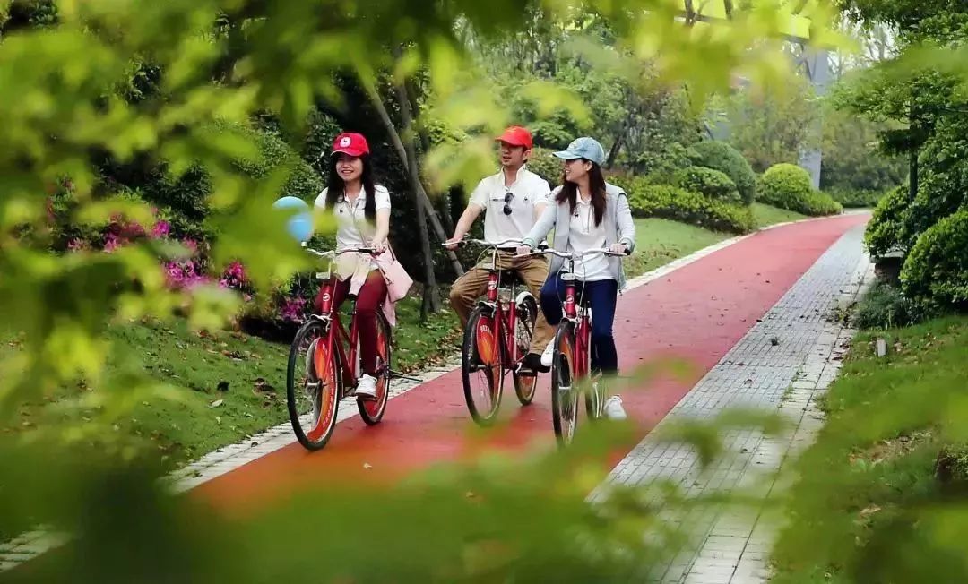 陈家镇自行车主题公园北靠东滩大道,西临路港河,紧邻上外贤达学院和