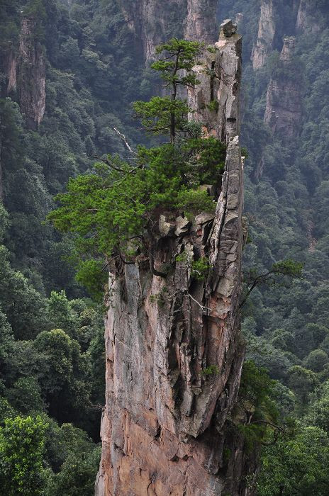 张家界天子山,来张家界不得不去的景点