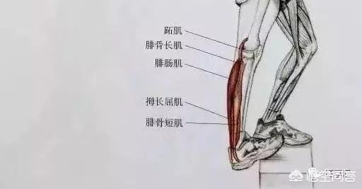 踢球脚踝肿了怎么办