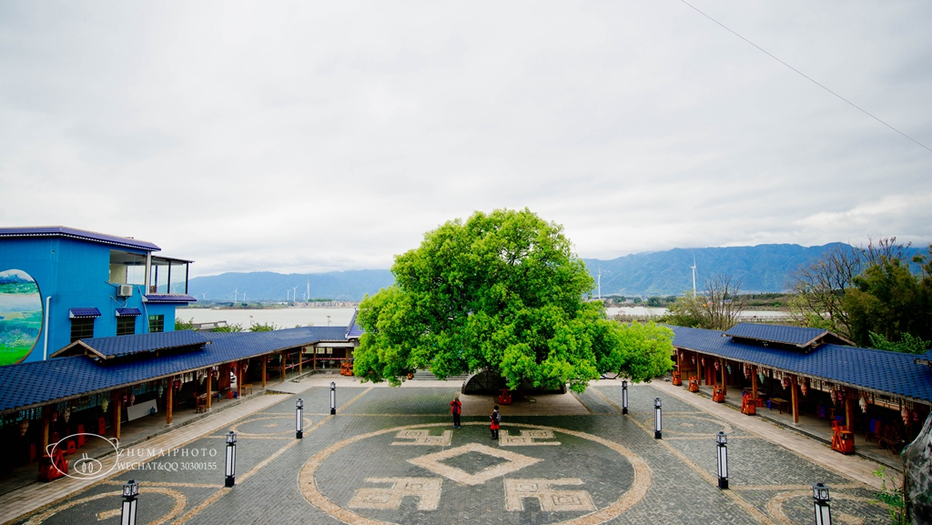 澄海坛头村现有人口_澄海坛头小学