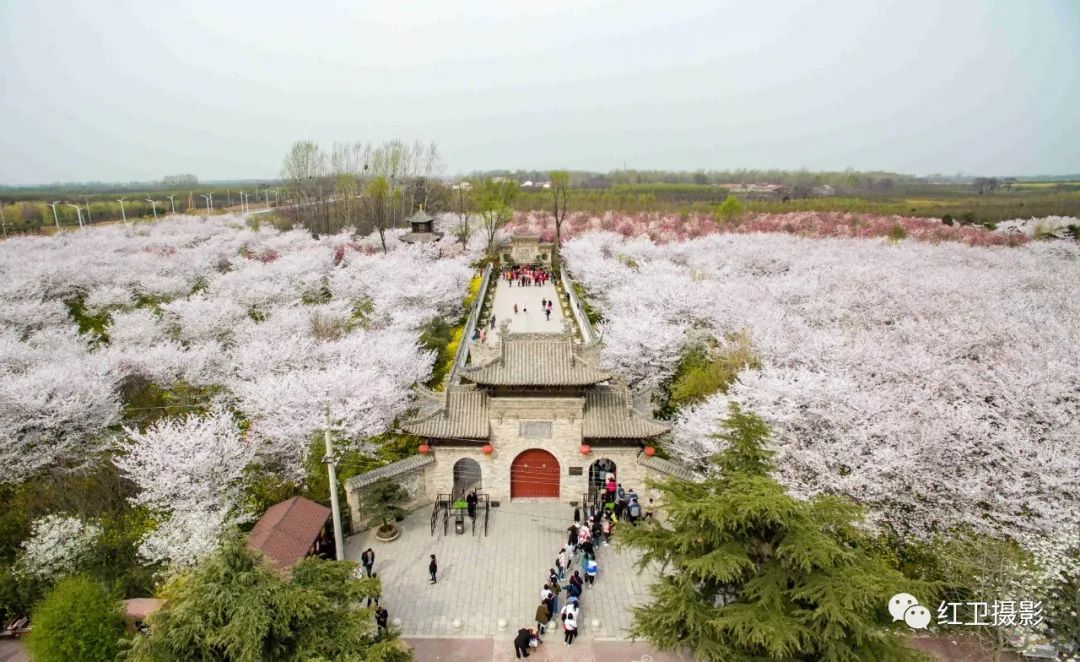 鄢陵人口_鄢陵花博园