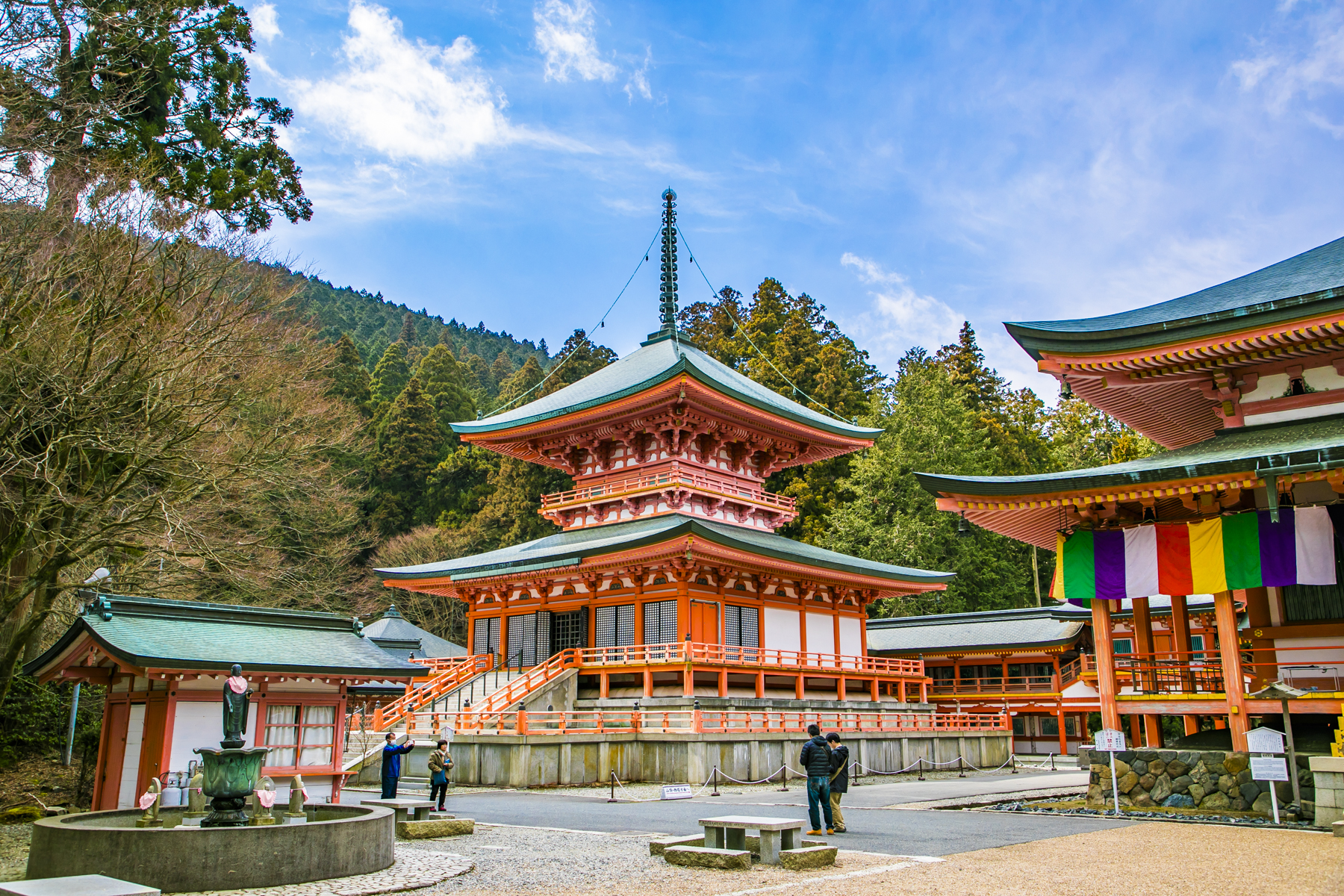 原创2019日本赏樱季,去大津遇见樱花雪,这份超实用的赏樱攻略别错过