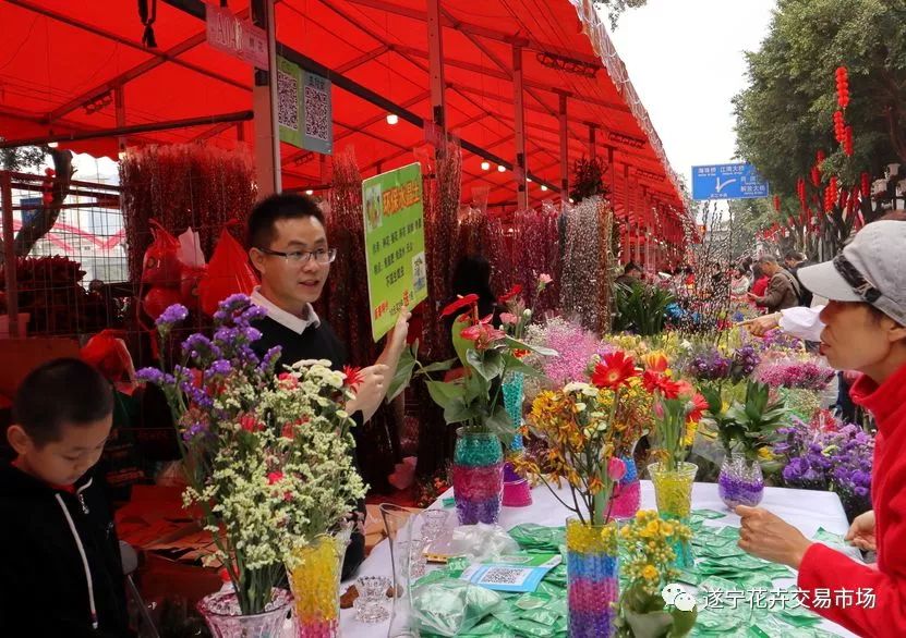 遂宁最美花卉展免费开放,花卉绿植1元购!吃喝玩乐全免费!