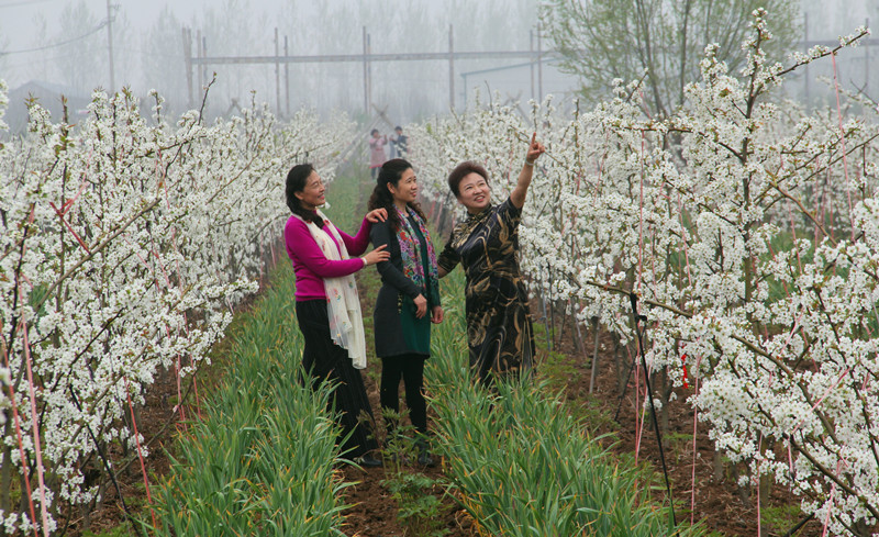 菏泽牡丹区高庄镇人口_菏泽牡丹区2020规划图