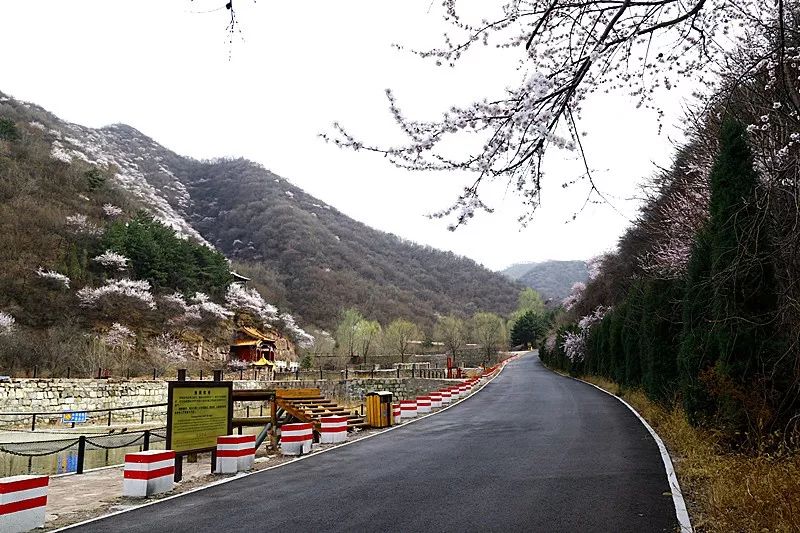 活动时间:2019年4月1日-4月15日▼山西·阳泉·翠枫山自然风景区盛大