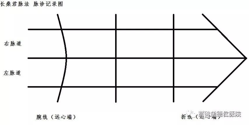 长桑君脉学体系简介